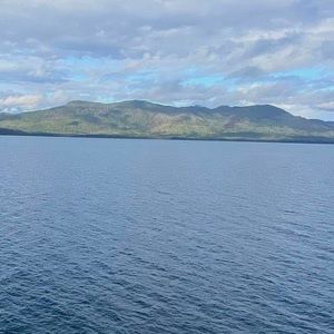 Meet your Posher, Jackson